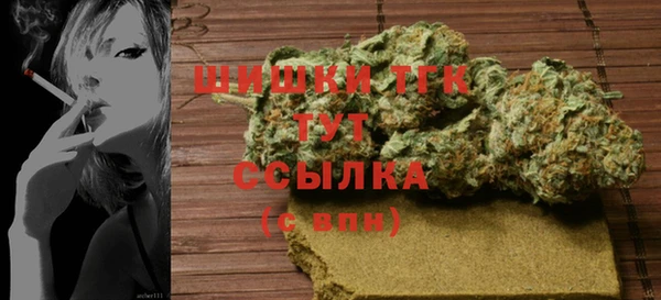 амф Корсаков