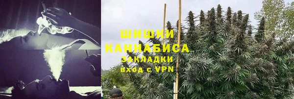 гидропоника Коряжма