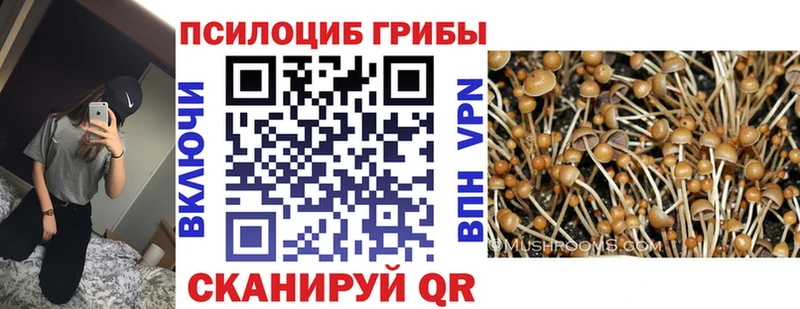 площадка состав  Томмот  Псилоцибиновые грибы мухоморы 